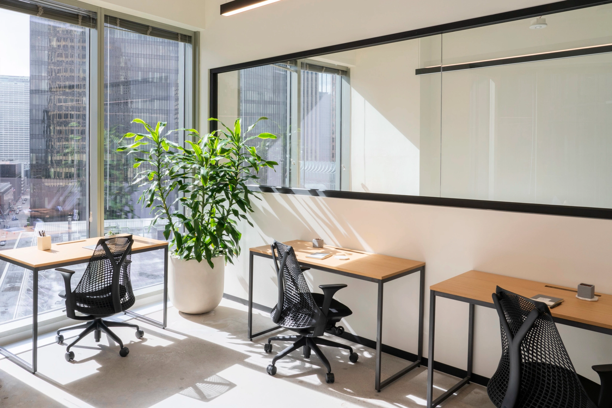 a room with three desks, a large bay window and a green plant.